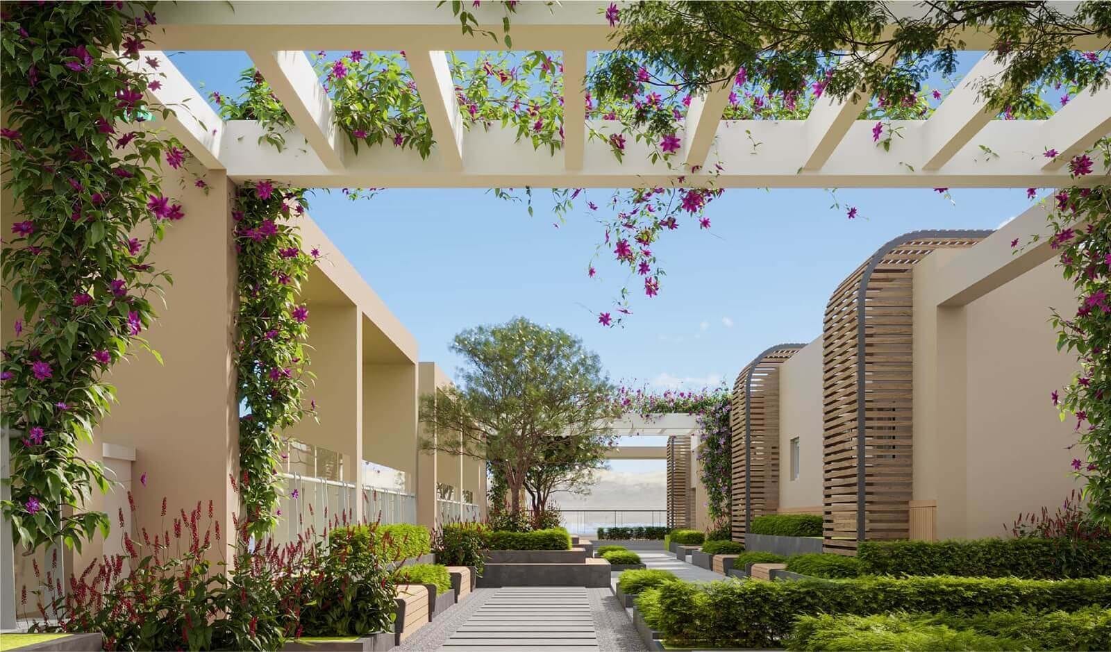 Garden pergola walk