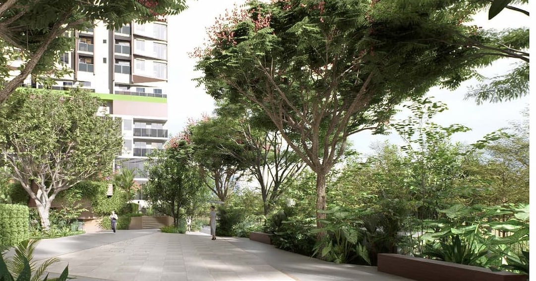 Garden walk at SkySOLIS lined with mature trees