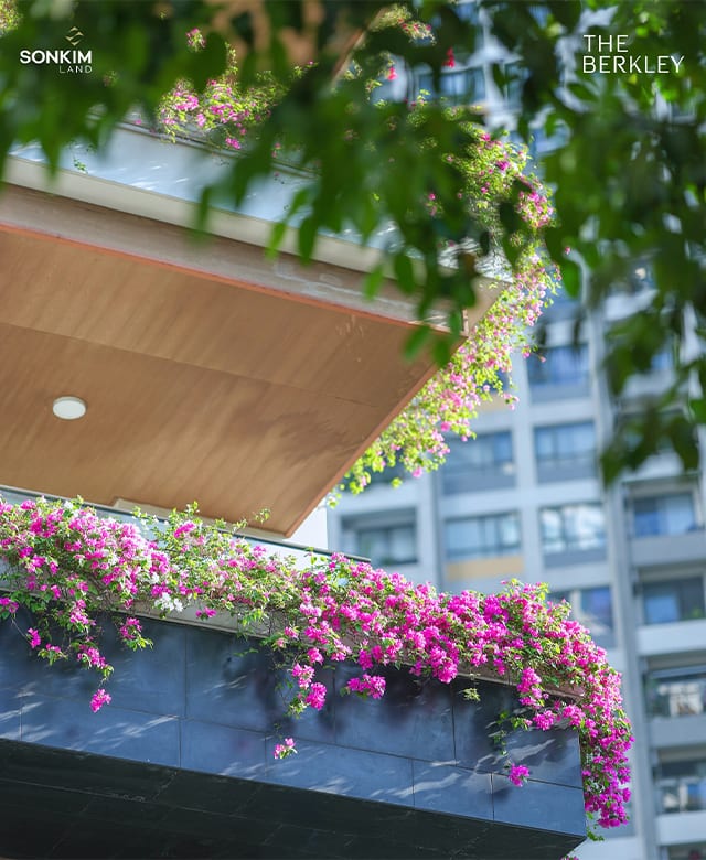 Sky gym & yoga deck